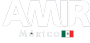 Logo Amir